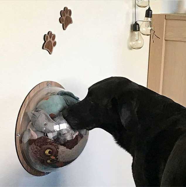 34907734 1606516742794371 3676276209039179776 o
